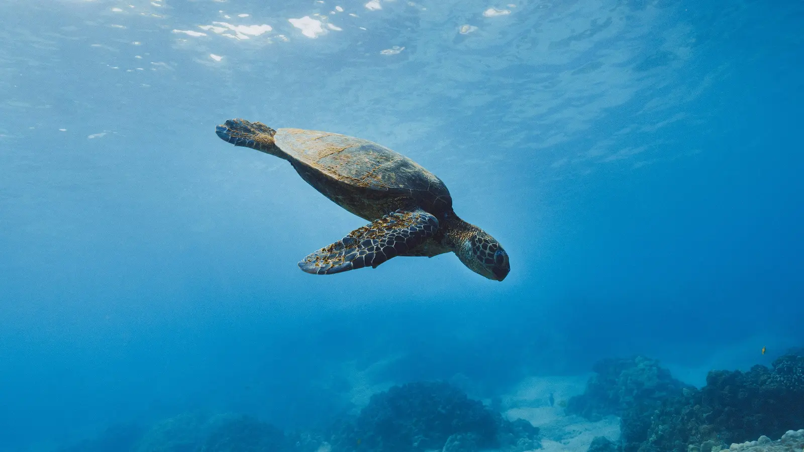 image_journeysexploresouthamerica