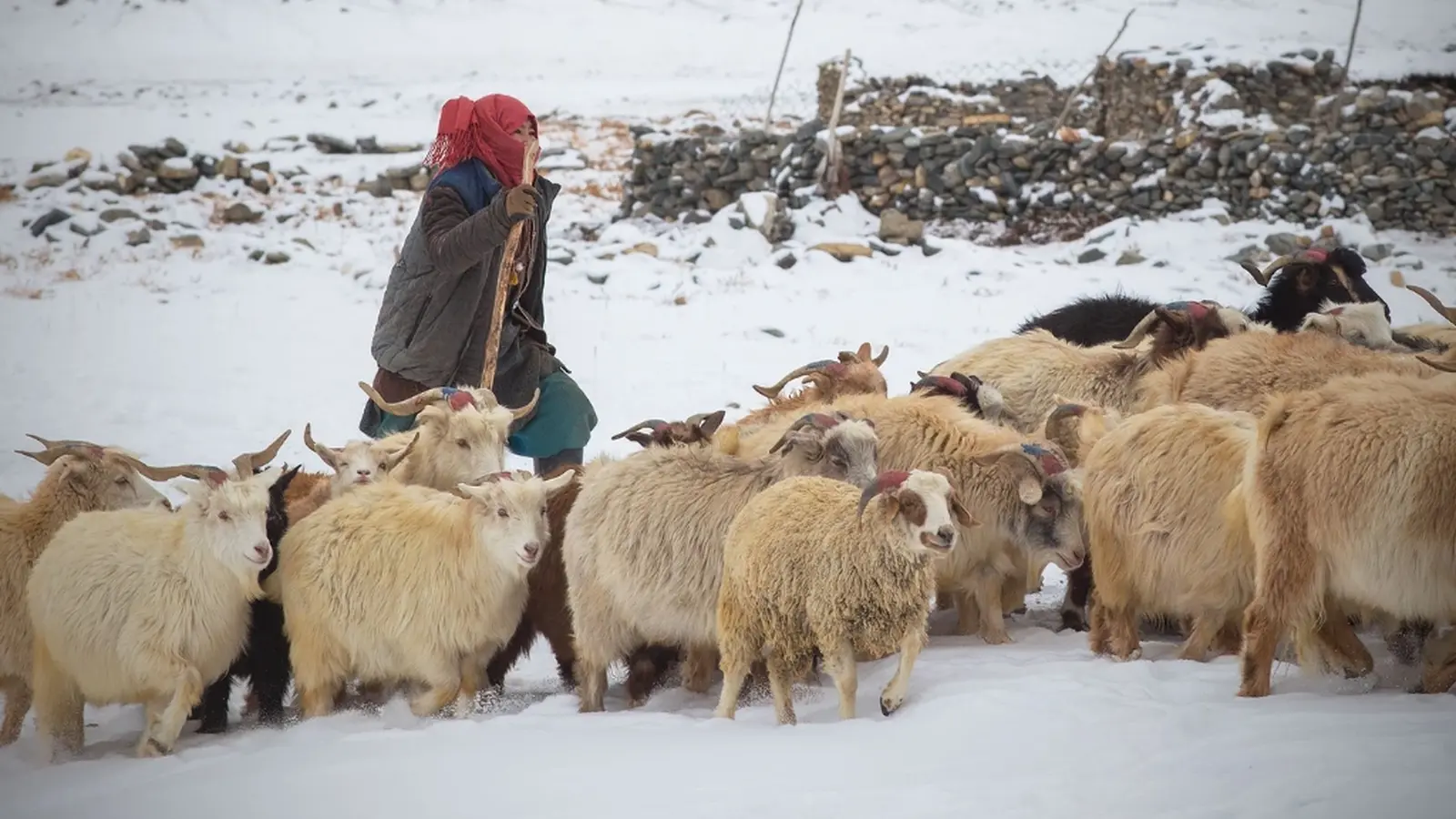 image_kashmirtoladakhwherevalleysmeetthesky