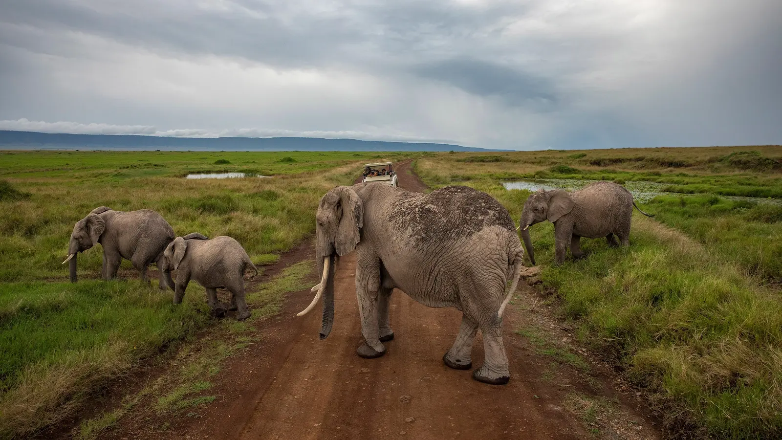 image_kenyaculturalconnectionsmaasaimaraeastafricasafari