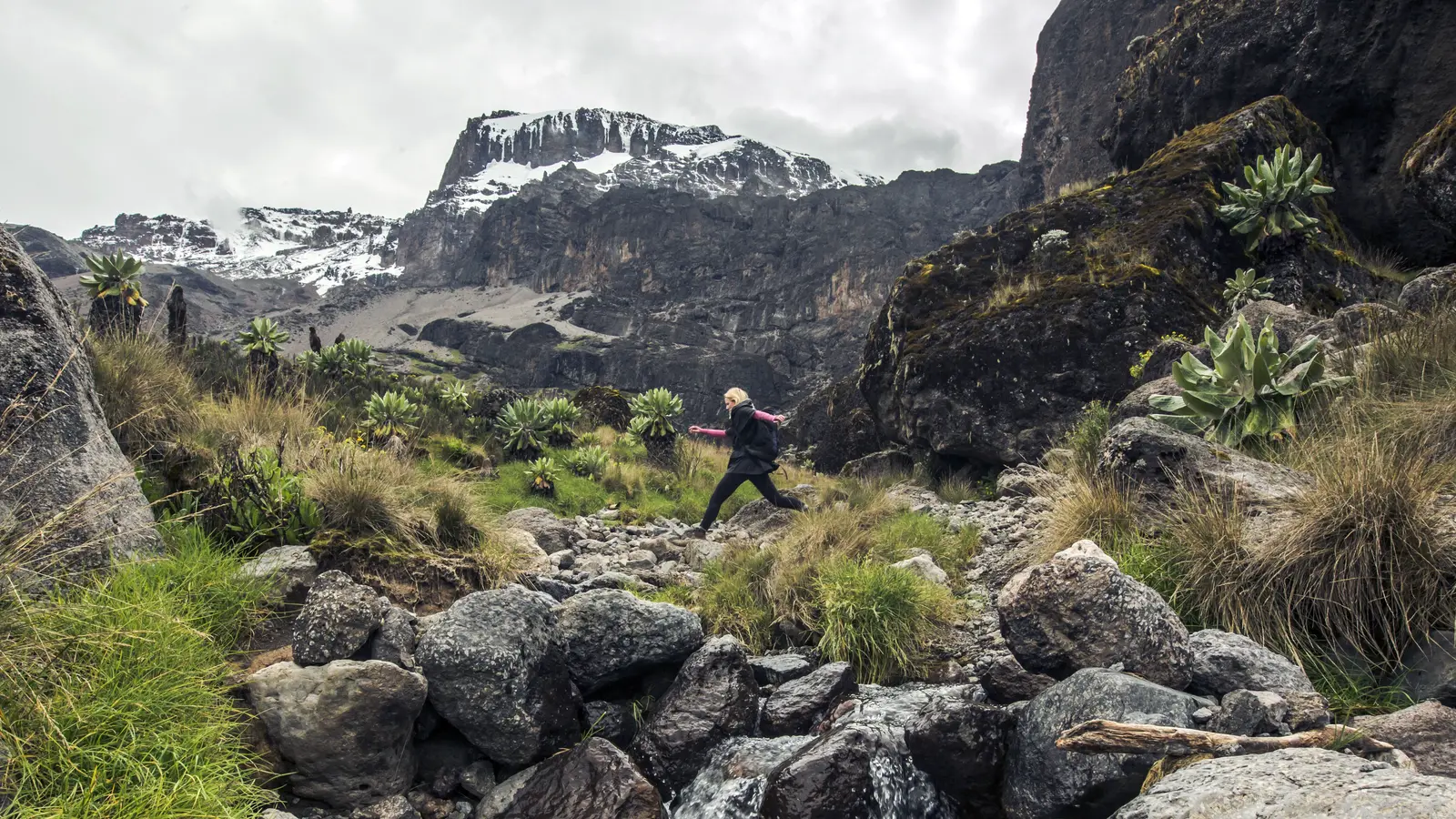 image_kilimanjaromachamerouteserengetiadventure