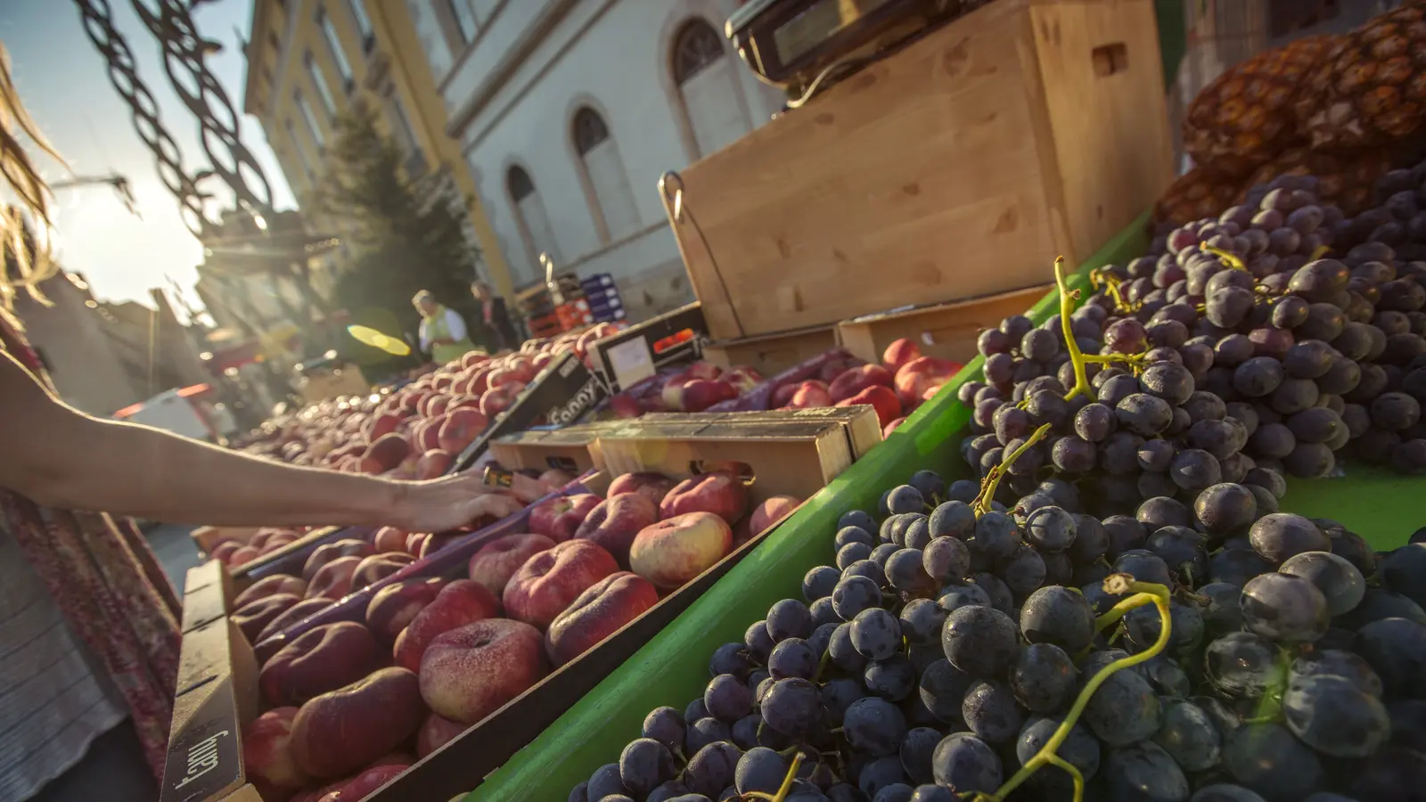 image_locallivingfrancetoulouse