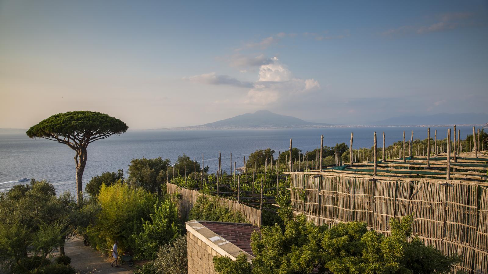 image_locallivingitalysorrento_7-days