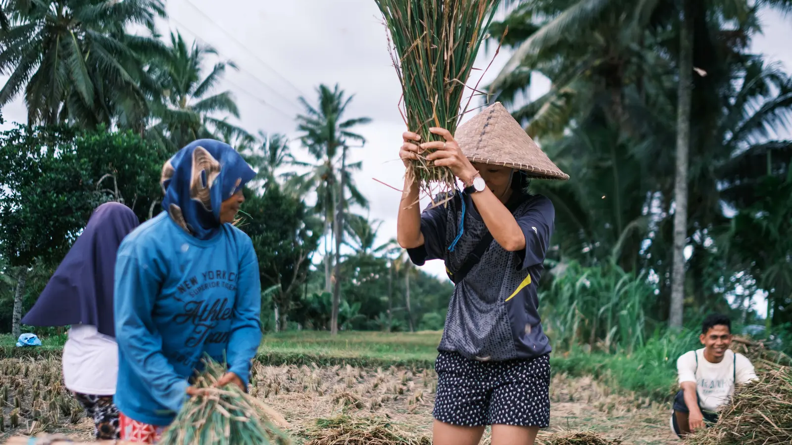 image_lombokgiliadventureculturepeaksparadise