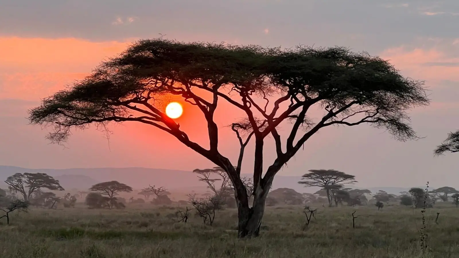 image_maasaimarasafarilegendarywildlifeculturalsafari