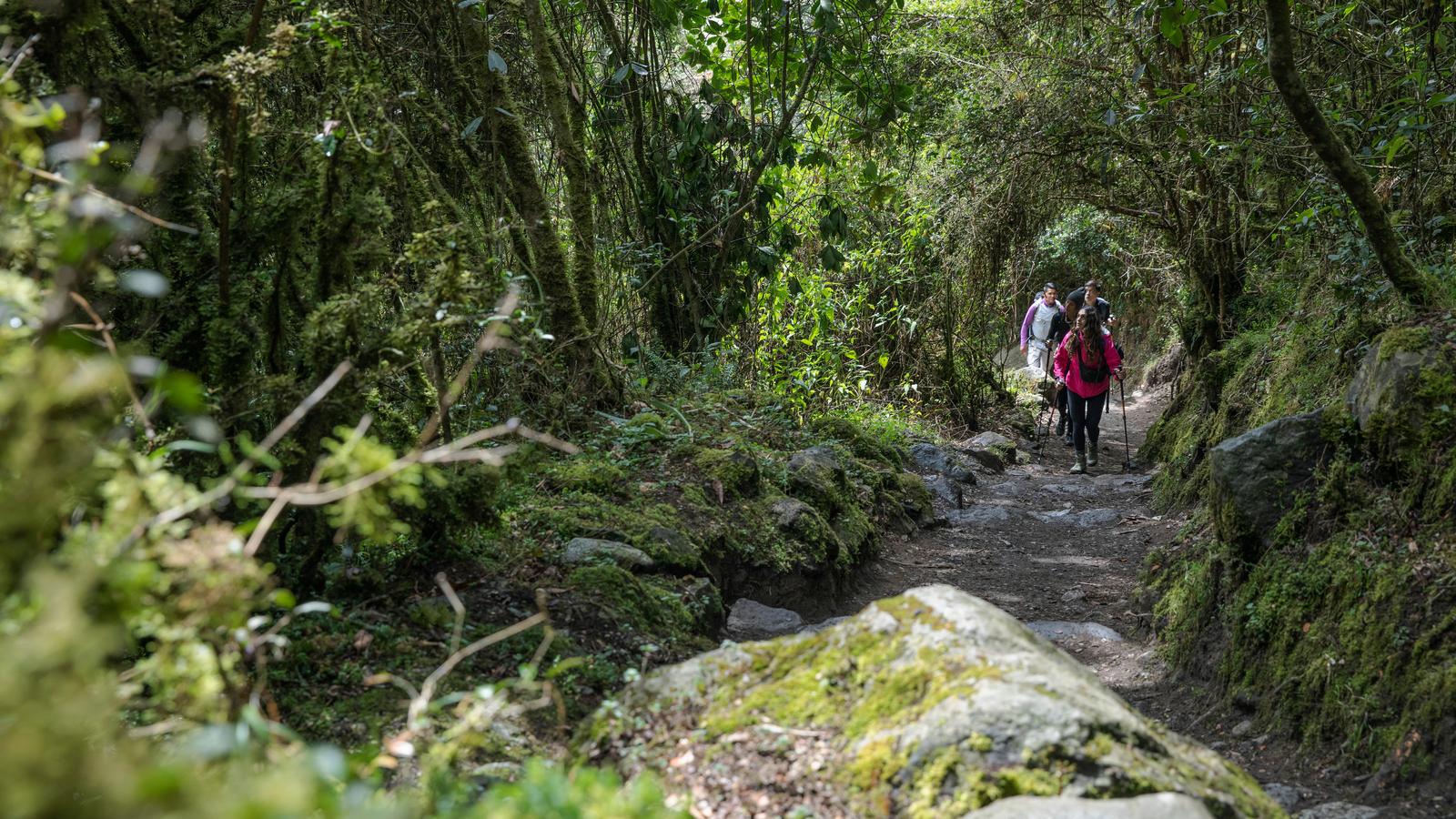 image_peruincatrailtheamazon_14-days