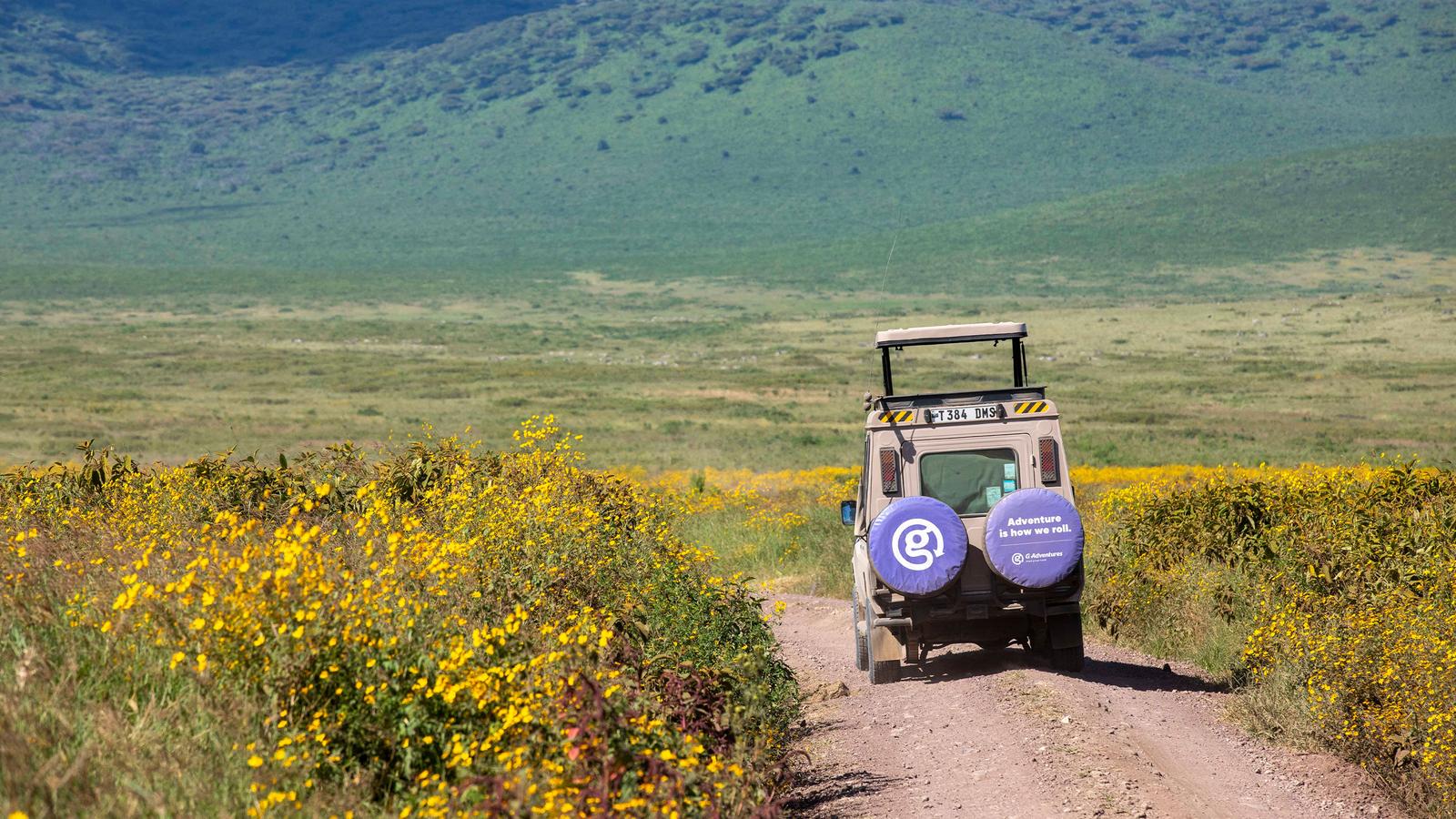 image_serengetitozanzibaroverlandsafariparticipationcamping