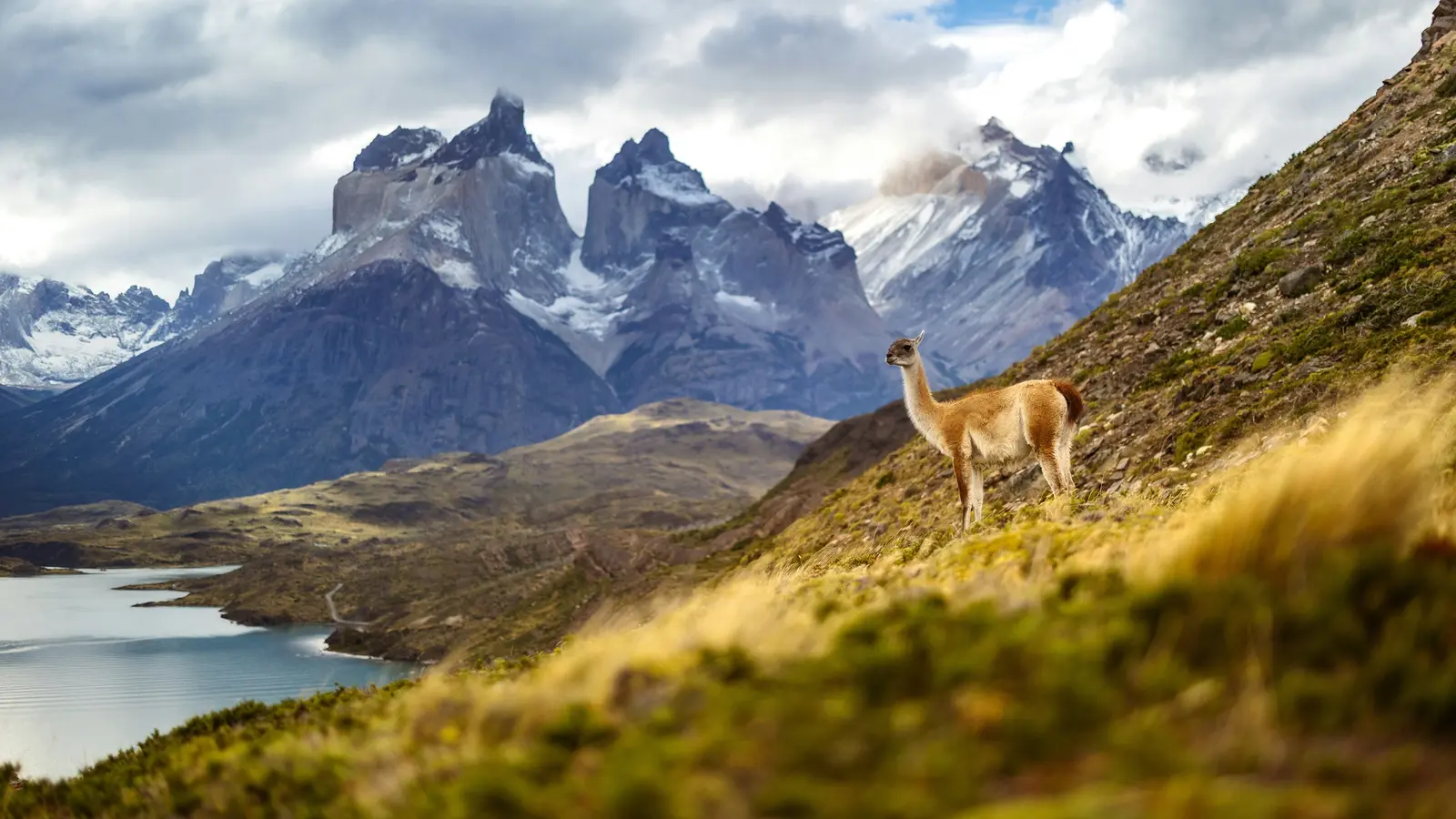 image_signatureargentinachiletheheartofpatagonia