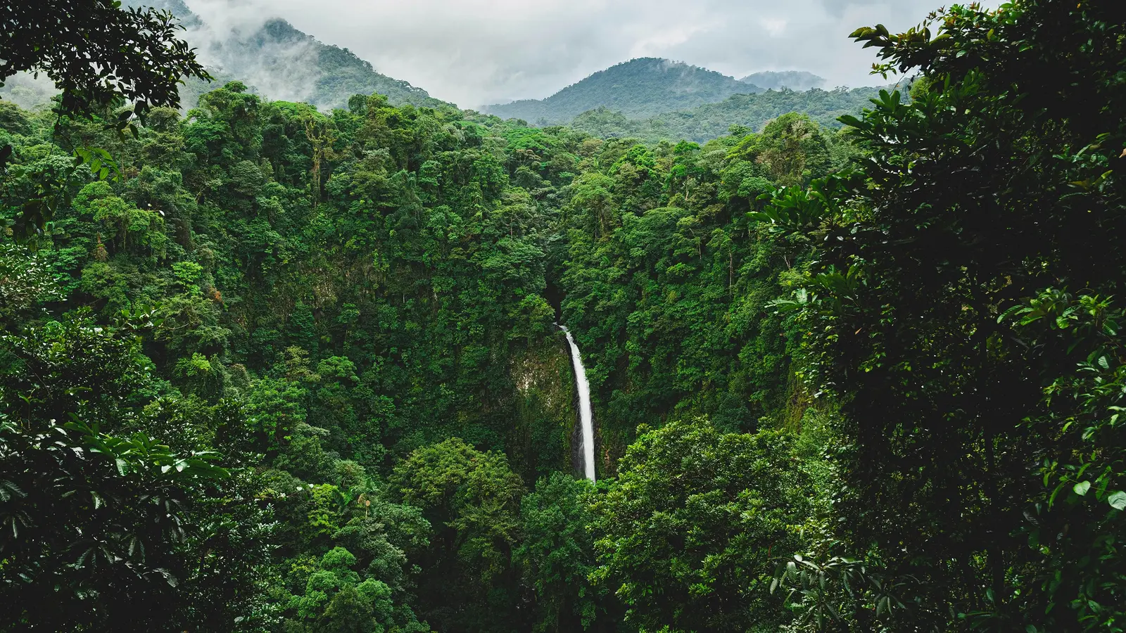 image_signaturecostaricasmonteverdearenalguanacaste