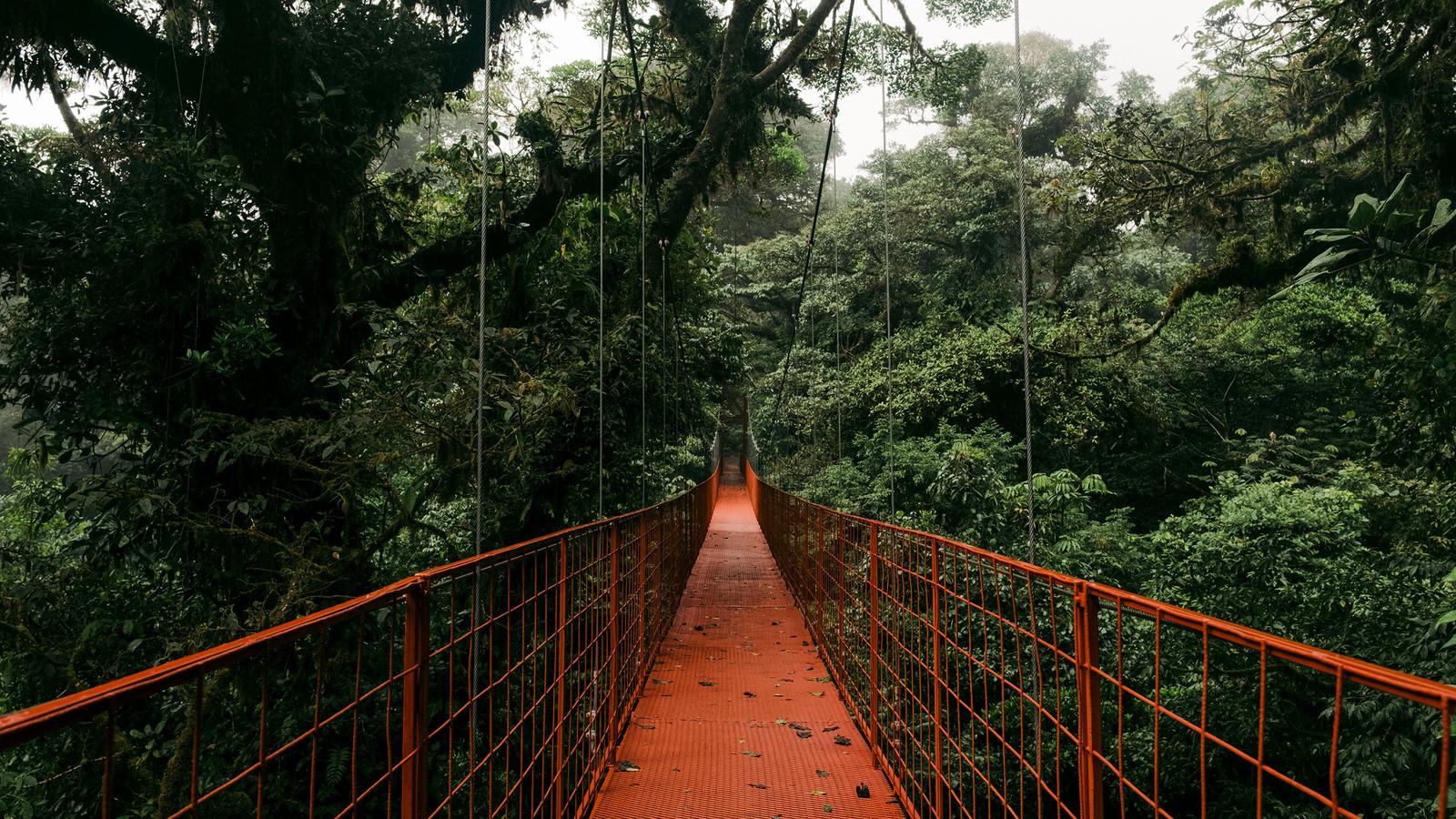 thumbnail image_signaturecostaricastortugueroarenalcloudforests