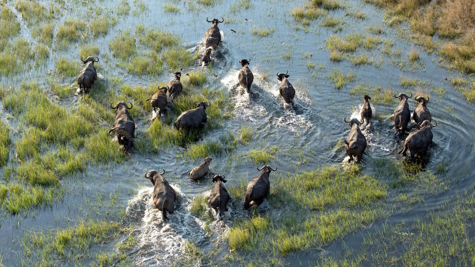 thumbnail image_signaturekrugervictoriafallsbotswanasuntamedwonders