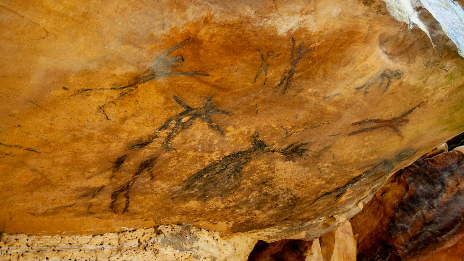 image_signaturenorthernspainthevineyardsofsouthwestfrance