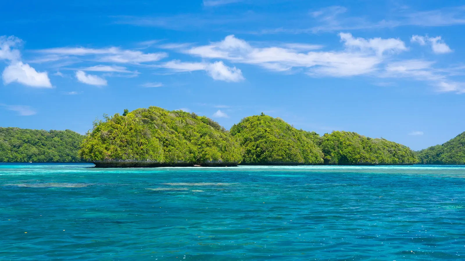 thumbnail image_signaturepalausrockislandsunderwaterserengeti