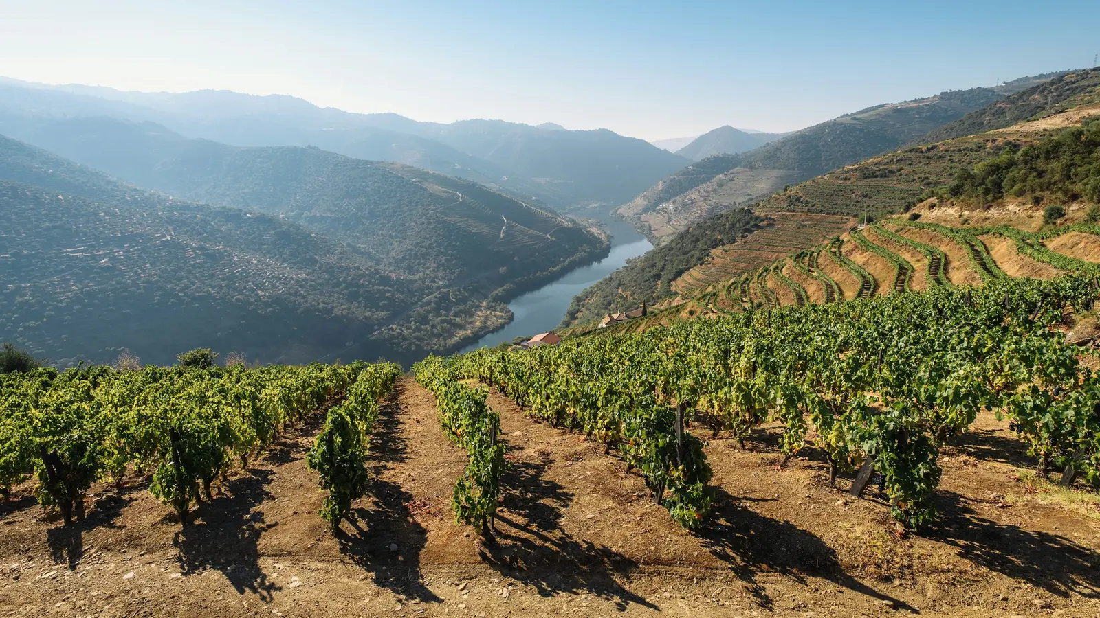 image_signatureportugalsportodourovalleylisbon