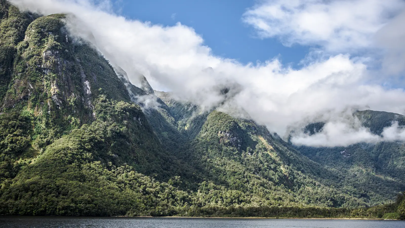 image_solo-ishnewzealand