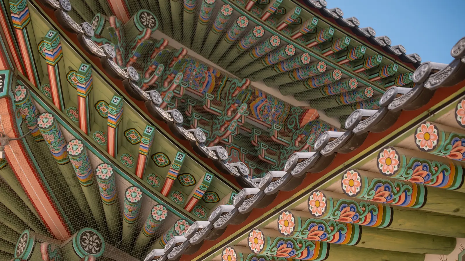 image_solo-ishsouthkorea_9-days