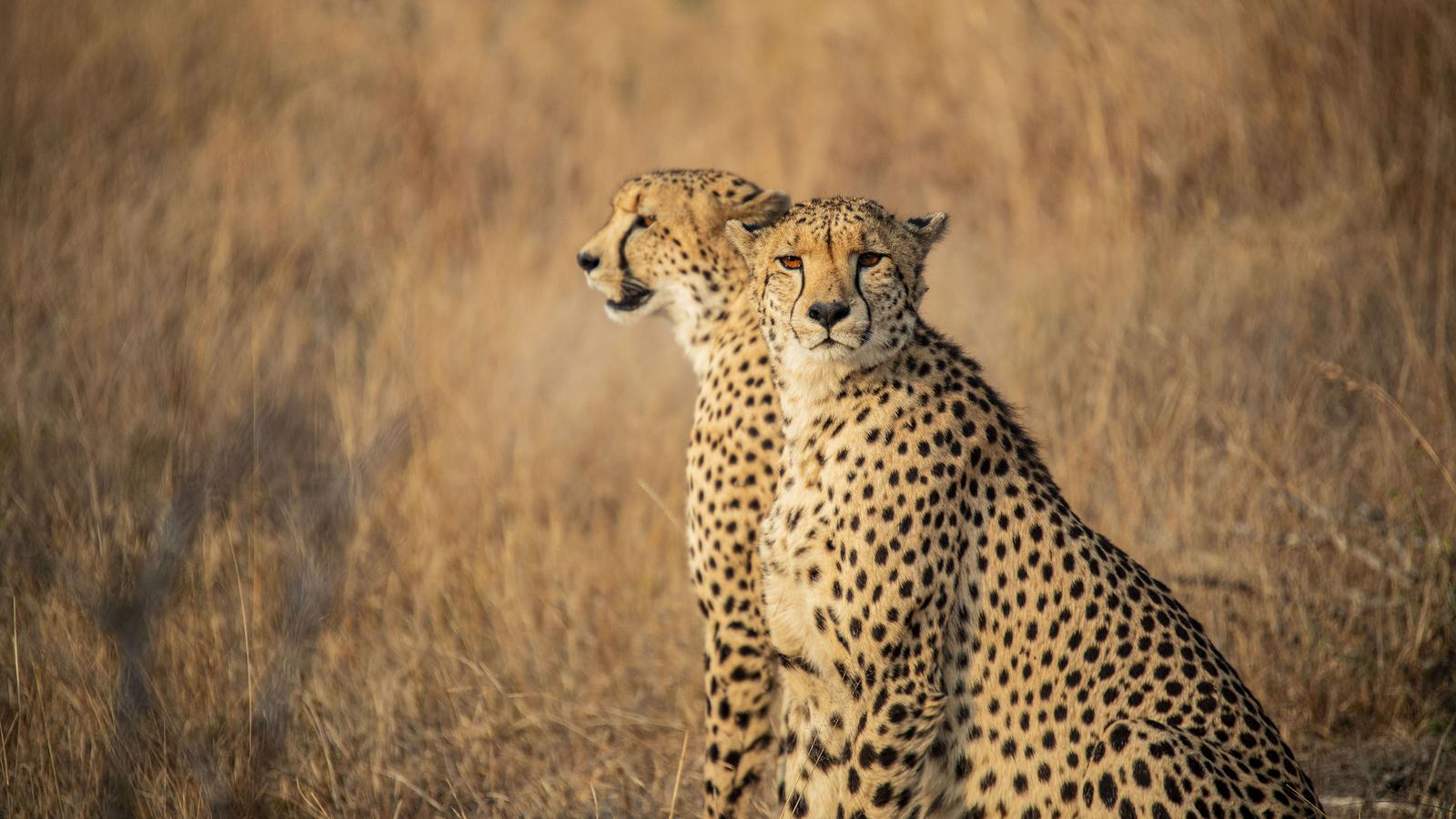 image_southafricakrugercapetownstellenboschvineyards