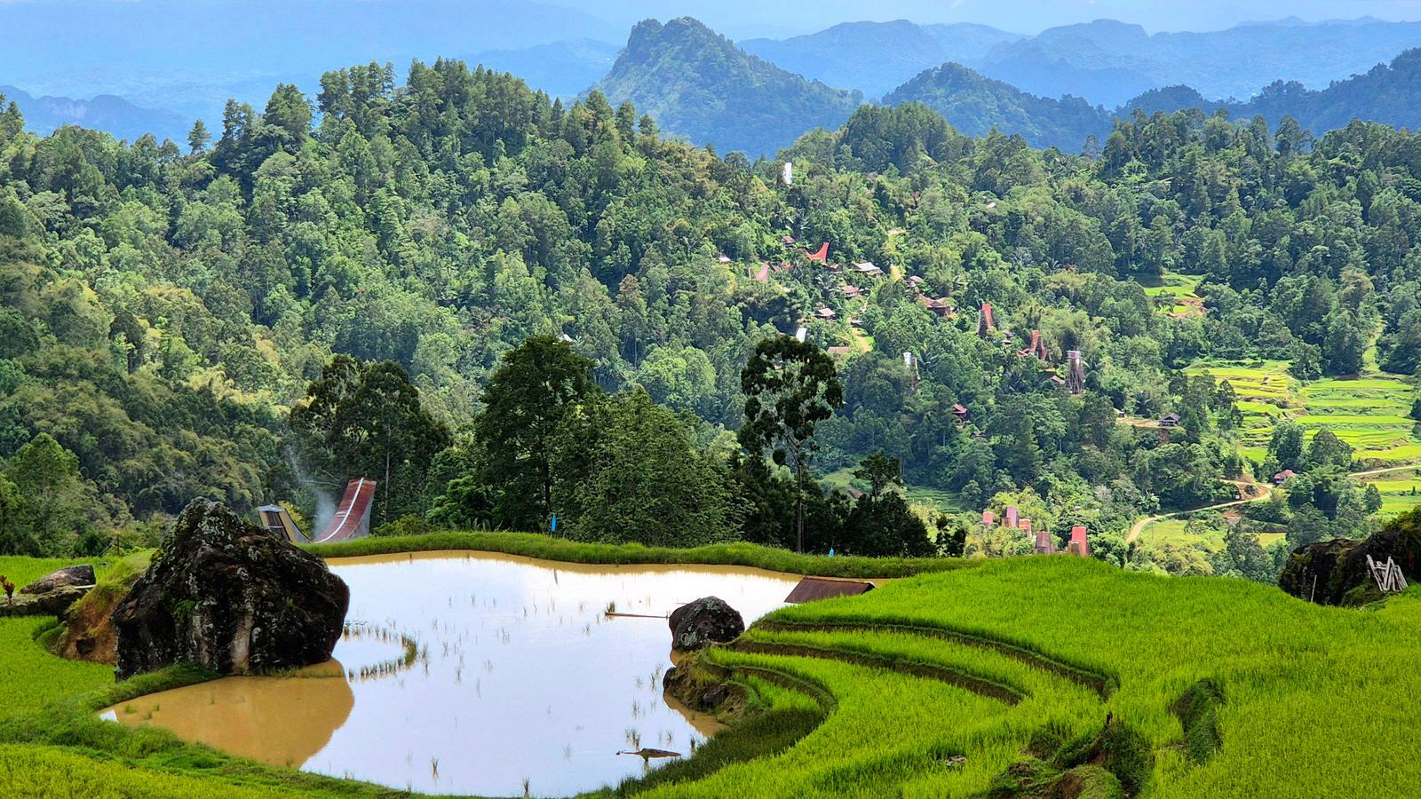 image_sulawesiadventurethecultureoftanatoraja_9-days
