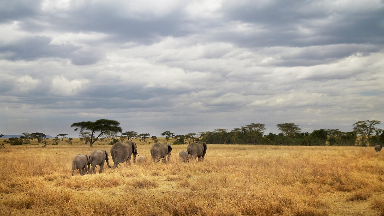 image_tanzaniacampingadventure_6-days