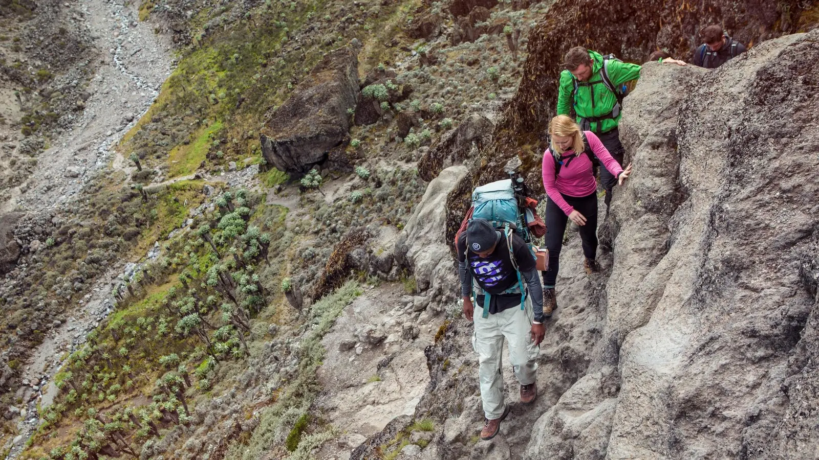 image_tanzaniakilimanjaroslemoshorouteserengetisafari