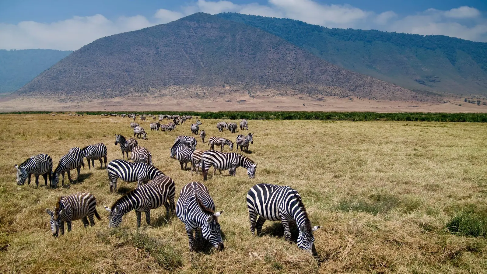image_tanzaniatheserengetingorongorocraterlocalflavours_7-days