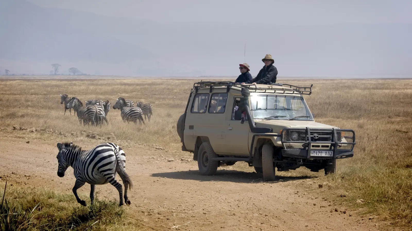 image_tanzaniauncoveredwildlifeoftheserengetingorongorocrater_6-days
