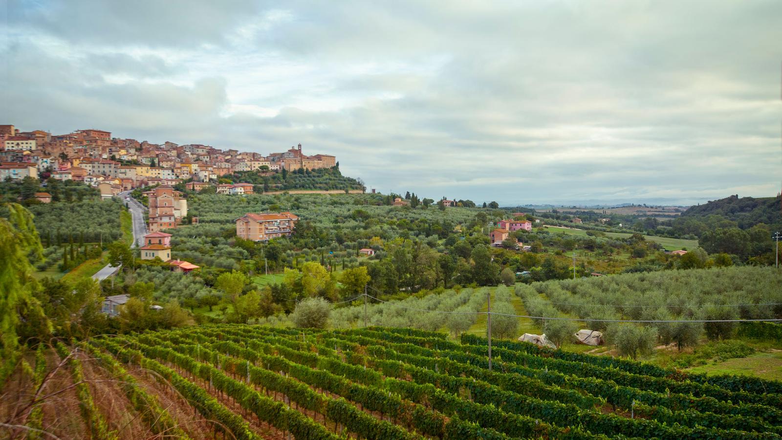 image_tuscanytocinqueterrewinesvillagesunforgettablewalks