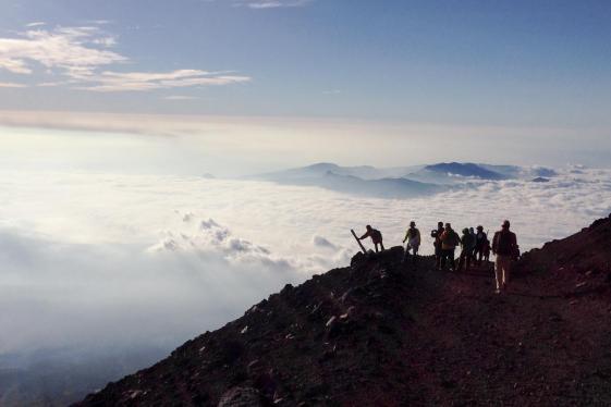 image_absoluteactivejapan