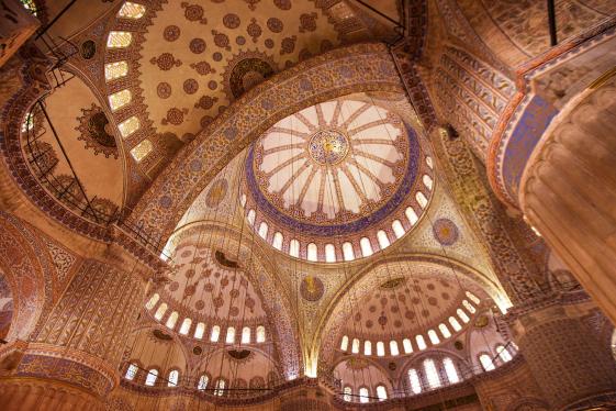 image_absoluteturkey