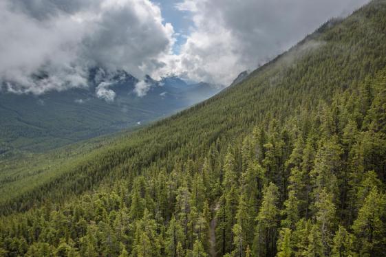 image_activewestcoastcanadianrockies