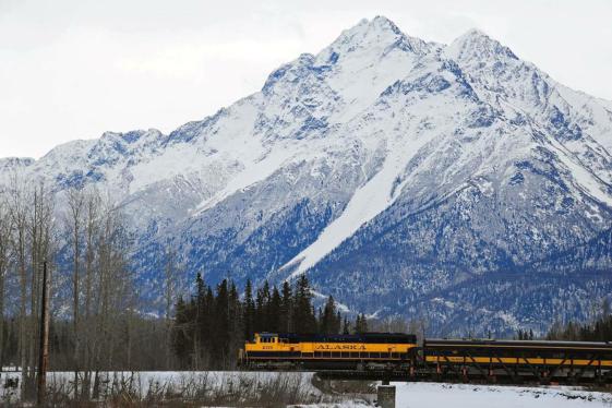 image_alaskainwinternorthernlightsdogsleddingadventure