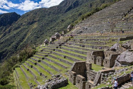 image_amazontoandeswithmachupicchubytrain