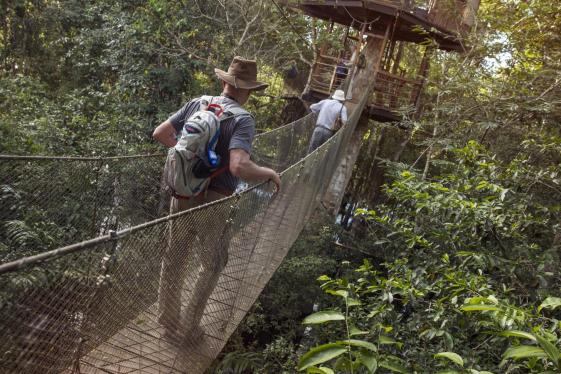 image_amazontotheandes