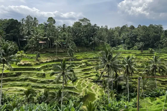 image_baliswildheartsoulsurfspirit