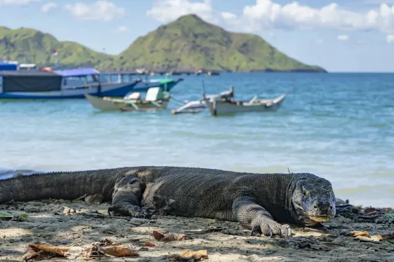 image_balitoflorestrailstribalvillagesdragonlagoons