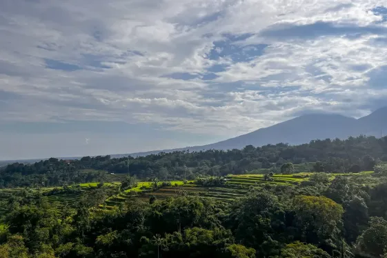 image_bangkoktobalisoutheastasiaunfiltered