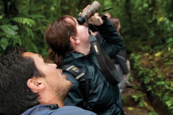 image_basiccentralamericamexicotocostarica