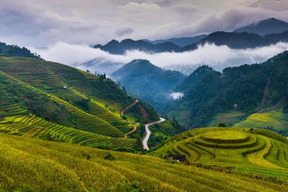 image_classicvietnamsapatothemekong