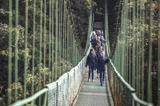 image_costaricafamilyjourneyfromcloudforeststothebeach