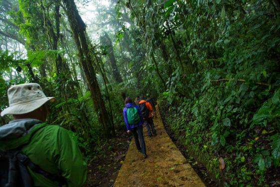image_costaricamonteverdeandlafortuna_7-days