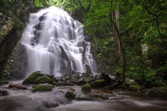 image_costaricariocelesterincondelavieja