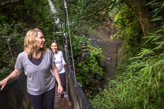 image_costaricathewonderswildlifeofthenorth