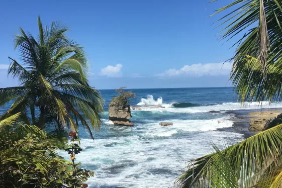 image_costaricatopanamasurftreksstarryskies