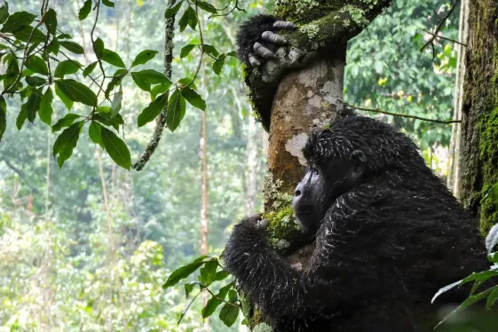 image_eastafricadiscovery