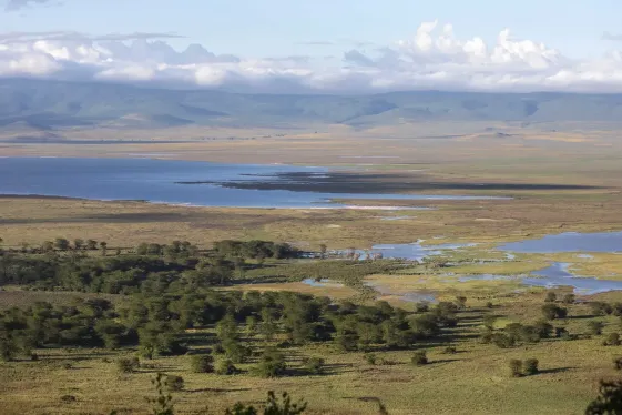image_eastafricamaasaimaraserengetisafarisislandparadise