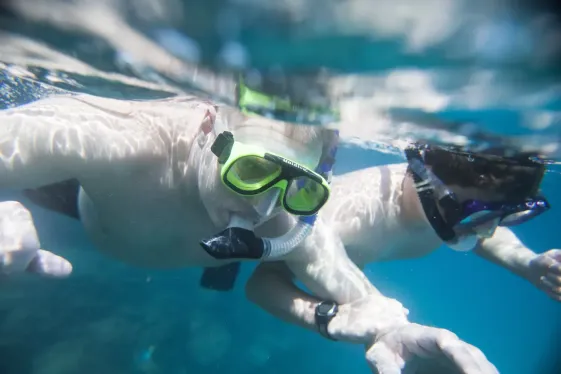 image_ecuadortogalpagosjunglebeatsislandheat