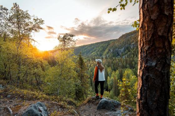 image_finnishlaplanddiscovery