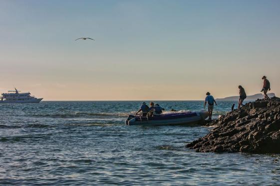 image_galpagossoutheastislandsaboardtheeden