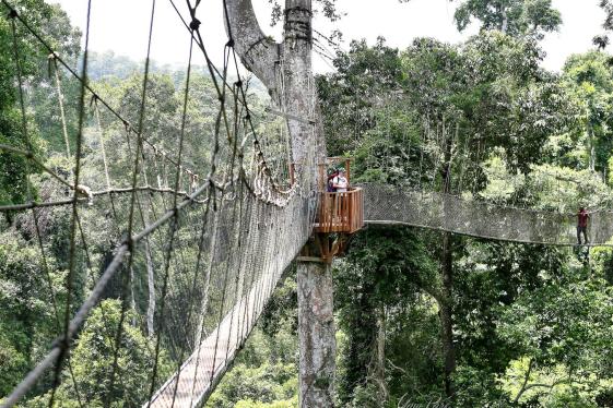 image_ghanabeachesbreathtakingcoastlines