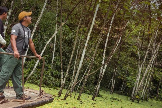 image_glodgeamazon-5dayindependentadventure