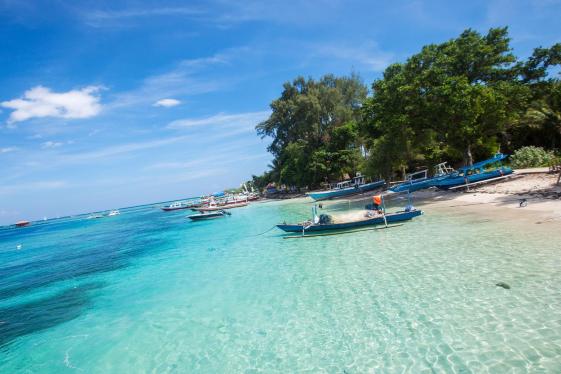 image_indonesiacandidasamtrinjanithegilis